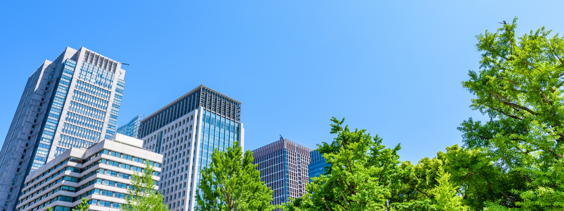 ブランド戦略通信